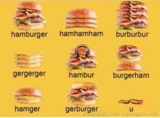 汉堡包的十二种形态