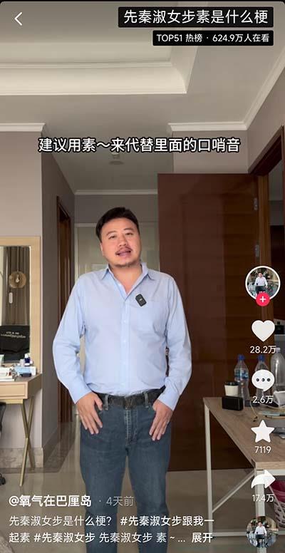 先秦淑女步素是什么意思