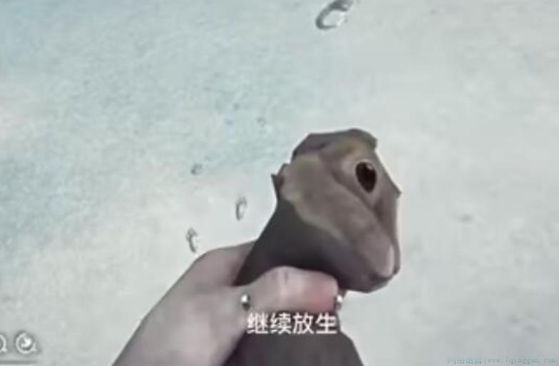 脖子右拧是什么意思