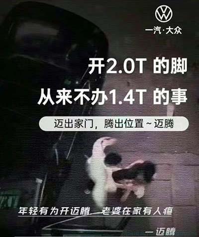 迈腾是什么意思