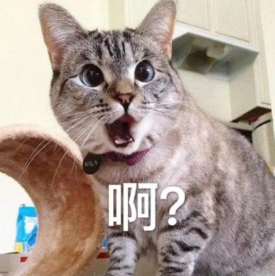 啊？是什么意思