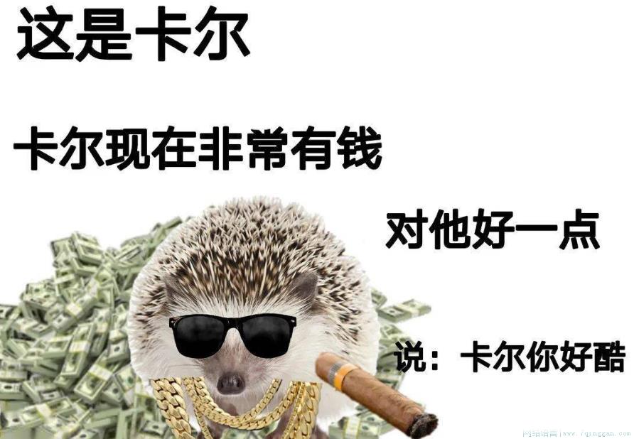 卡尔刺猬是什么意思