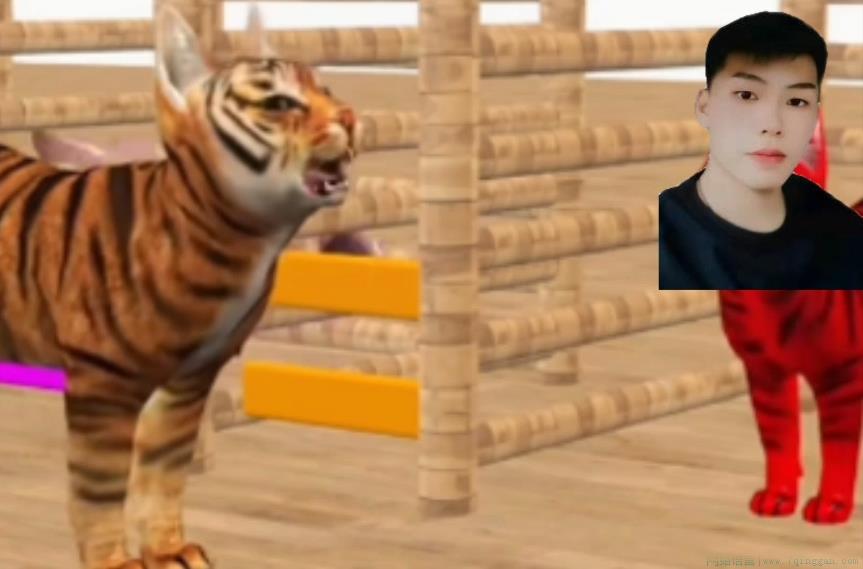 我嘞个烧钢是什么意思