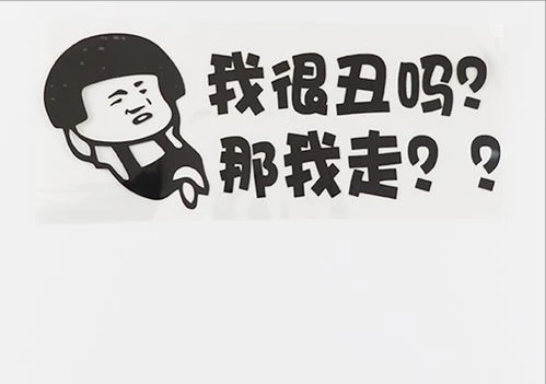 我很丑吗，那我走是什么意思