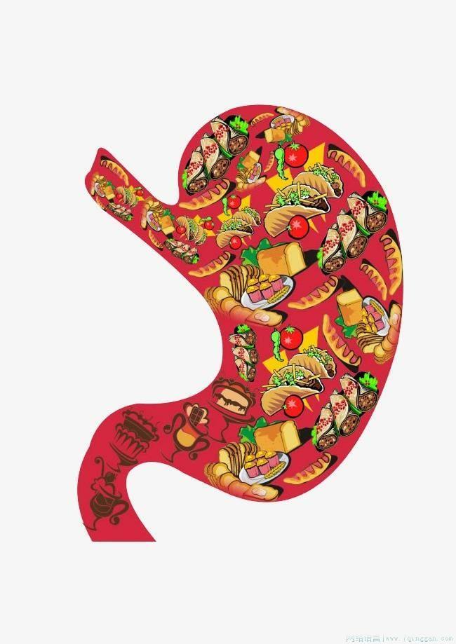 对胃了是什么意思