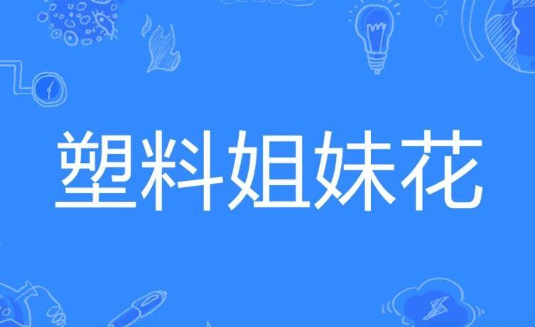 塑料花姐妹是什么意思