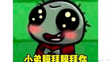 小弟膜拜膜拜膜拜你是什么意思