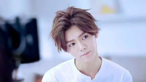 刘壮实是什么意思