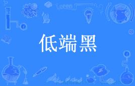 低端黑是什么意思