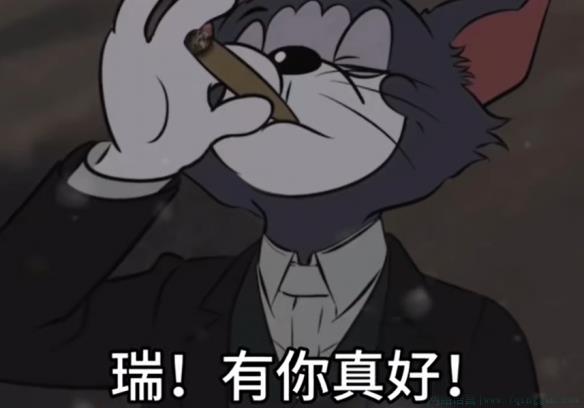 瑞你看到了吗