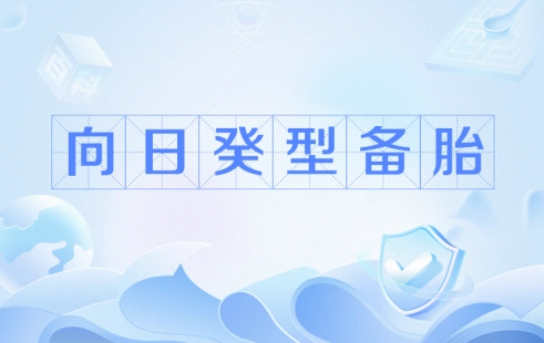 向日葵型备胎是什么意思