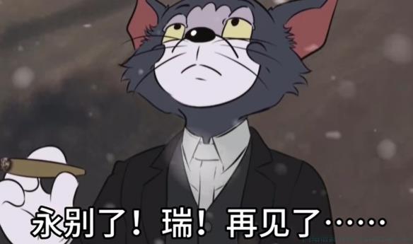 瑞你看到了吗