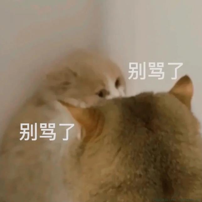 别骂了别骂了是什么意思