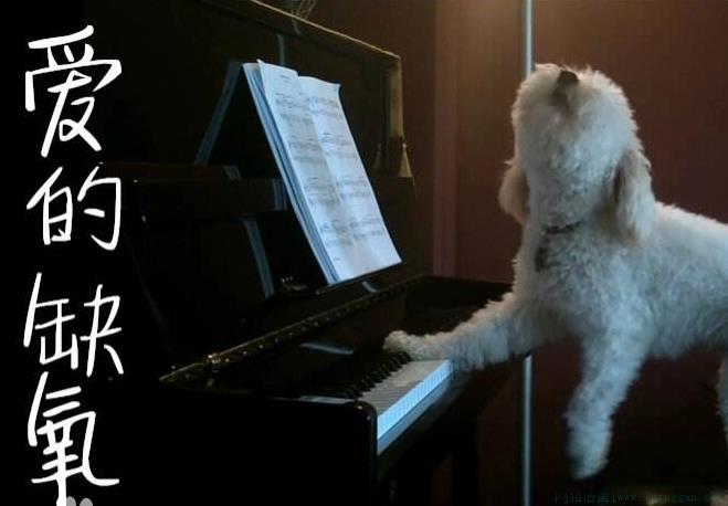 爱的 * 再问供养是什么意思