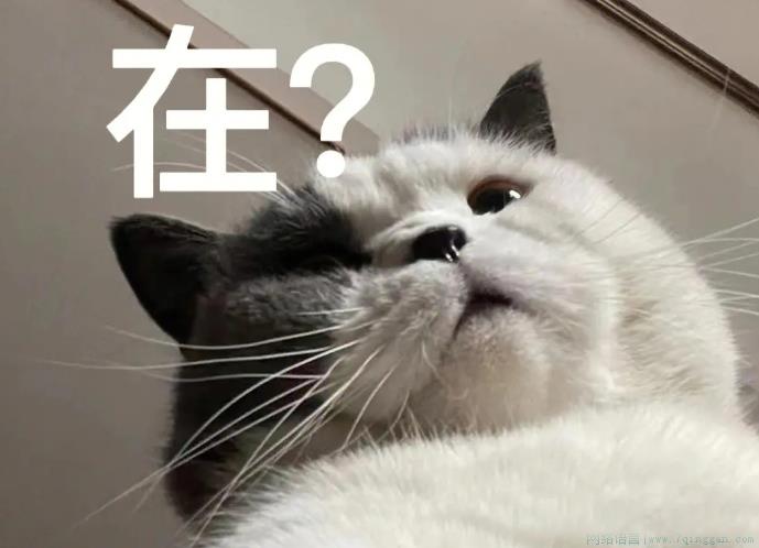 哈斯米