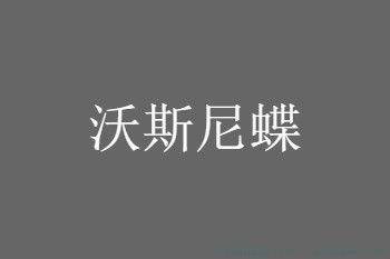 沃斯尼蝶