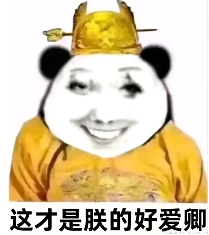 电子奸臣是什么意思