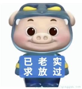 已老实,求放过是什么意思