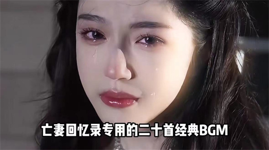 亡妻回忆录是什么意思