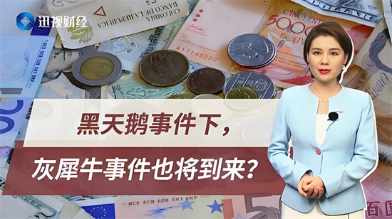 黑天鹅灰犀牛事件是什么意思 - 第2张