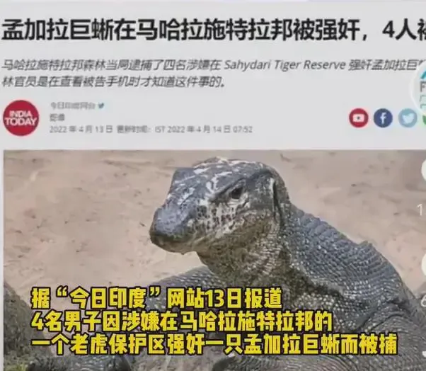 三嫂是什么梗 - 第1张