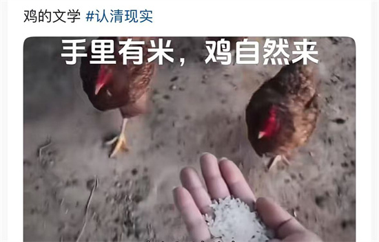 米多鸡自来是什么意思 - 第1张