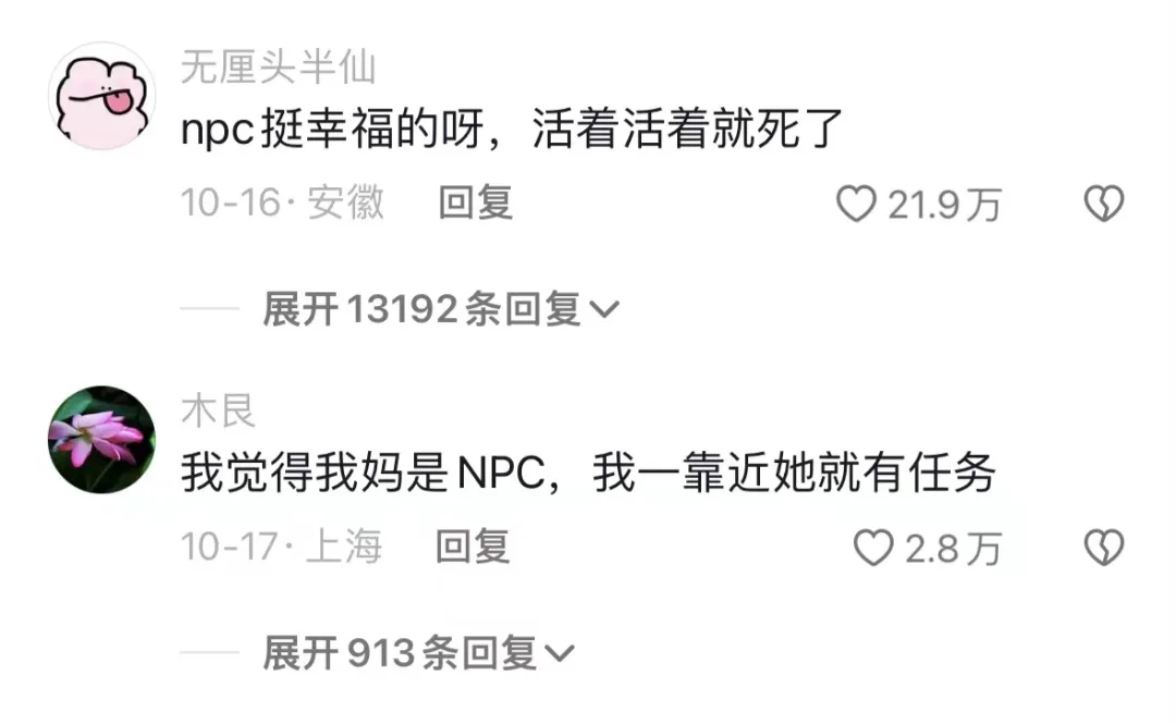 npc是什么意思 - 第3张