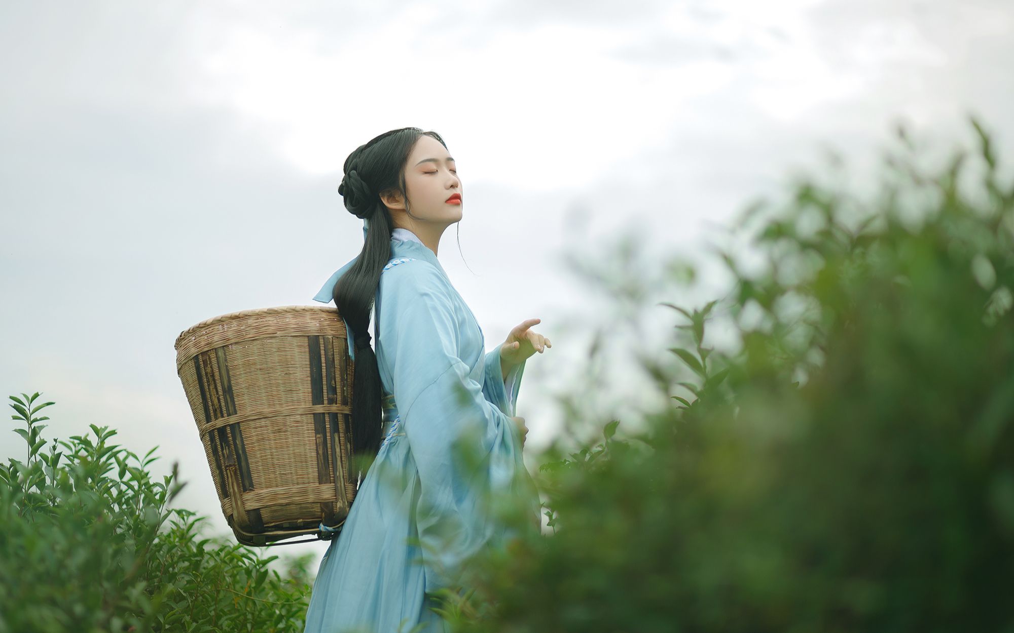 明前茶是什么意思