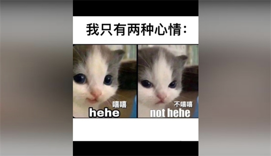 嘻嘻不嘻嘻是什么梗 - 第1张
