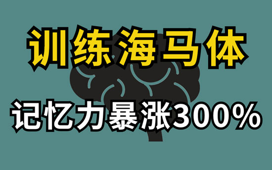 海马体学习法是什么意思