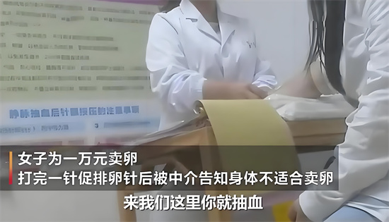 卵妹是什么意思 - 第2张