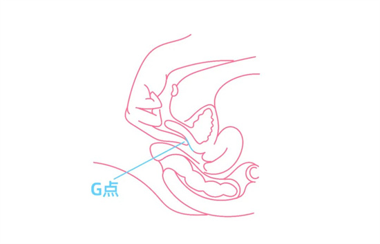 女人的A点U点G点什么意思 - 第3张
