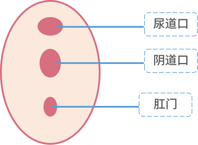 第一次啪啪啪进不去怎么办 - 第2张