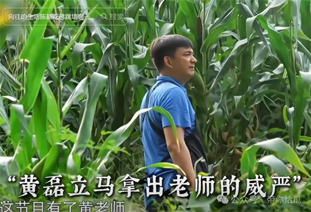 邪恶栀子花是什么意思 - 第5张