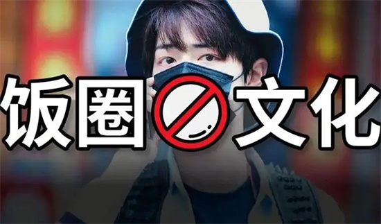 饭圈文化是什么意思 - 第1张