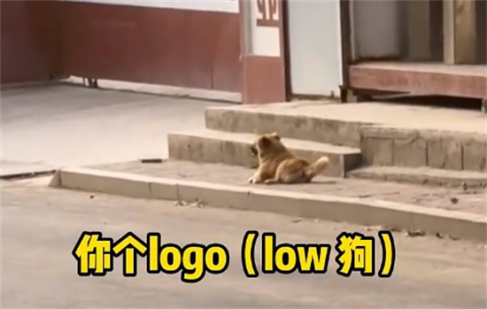 你个logo是什么梗