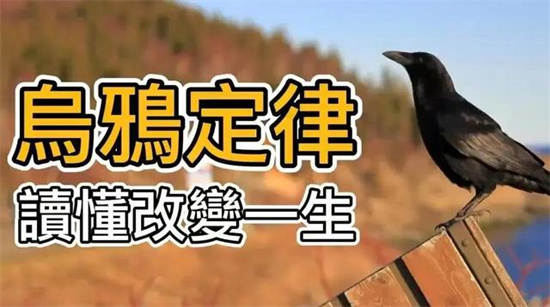 乌鸦定律是什么意思 - 第1张