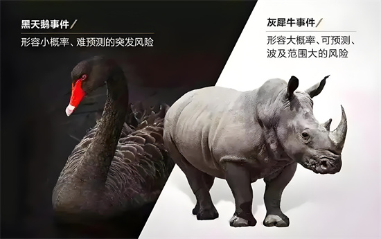黑天鹅灰犀牛事件是什么意思 - 第1张