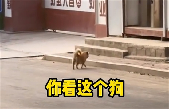 你个logo是什么梗 - 第2张