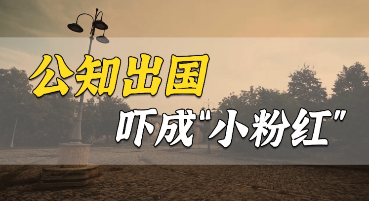 stupink是什么意思