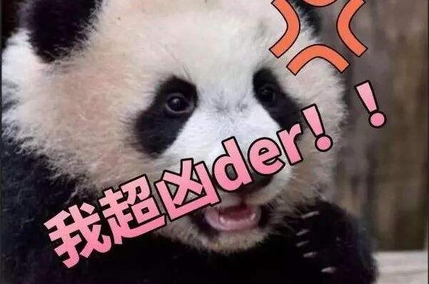 der是啥意思