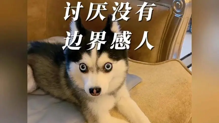 没有边界感是什么意思 - 第1张
