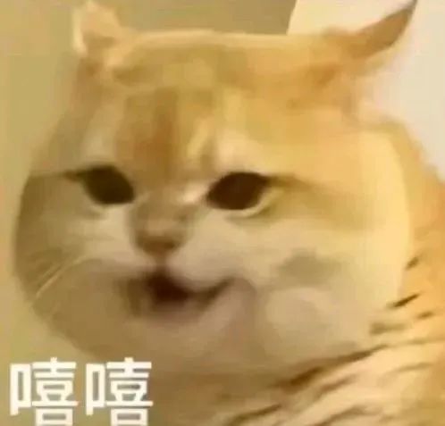 嘻嘻不嘻嘻是什么梗 - 第2张