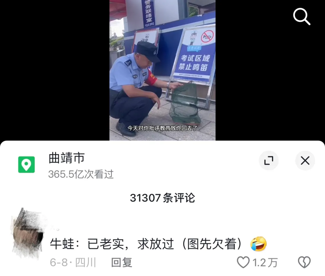 已老实是什么意思 - 第2张