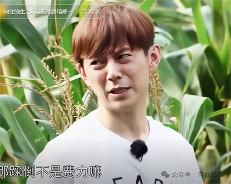 邪恶栀子花是什么意思 - 第4张
