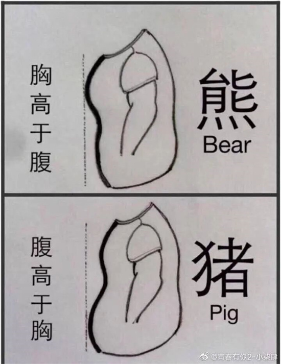 熊、猪、猴、虾在男同圈是什么意思