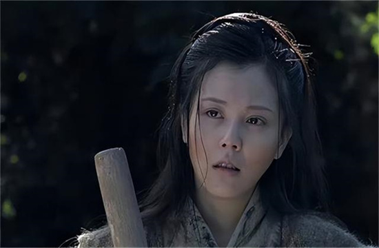 戚夫人做人彘活了几年 - 第1张