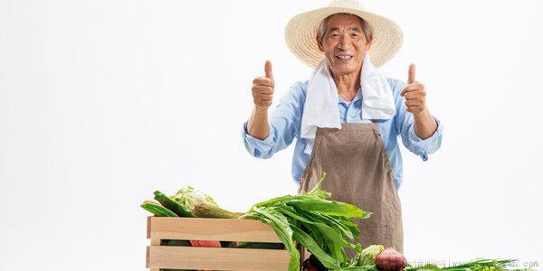 初级农产品包装标准