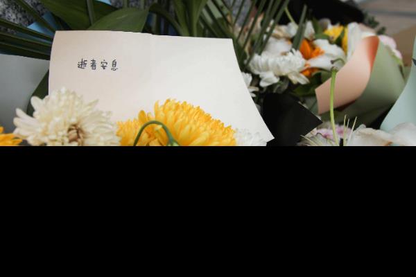 悼念的句子有哪些