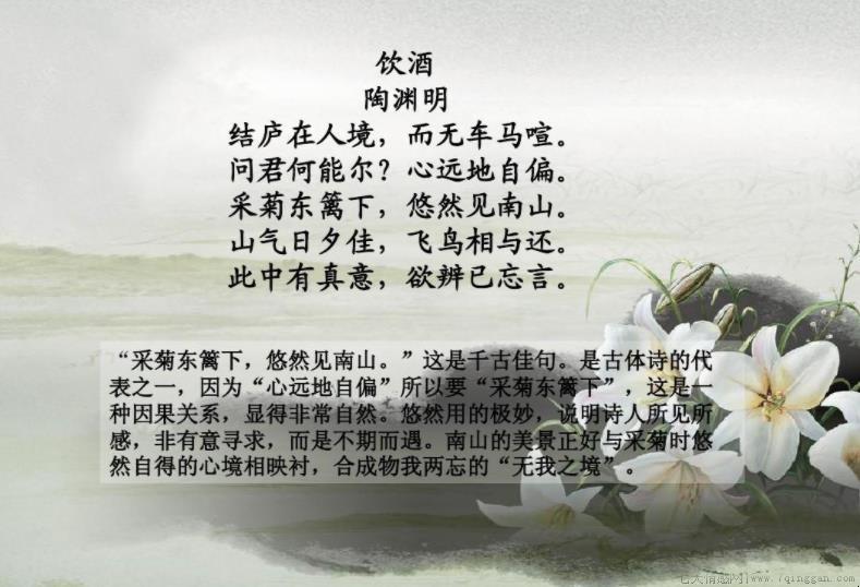 飞鸟相与还的上一句诗是什么